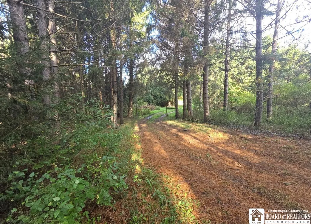 9254 Huyck, Farmersville, New York 14060, Farmersville, New York 14060, ,Land,For Sale,9254 Huyck, Farmersville, New York 14060,0,R1720508