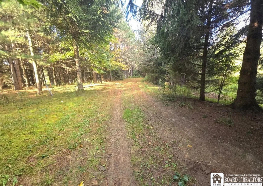 9254 Huyck, Farmersville, New York 14060, Farmersville, New York 14060, ,Land,For Sale,9254 Huyck, Farmersville, New York 14060,0,R1720508