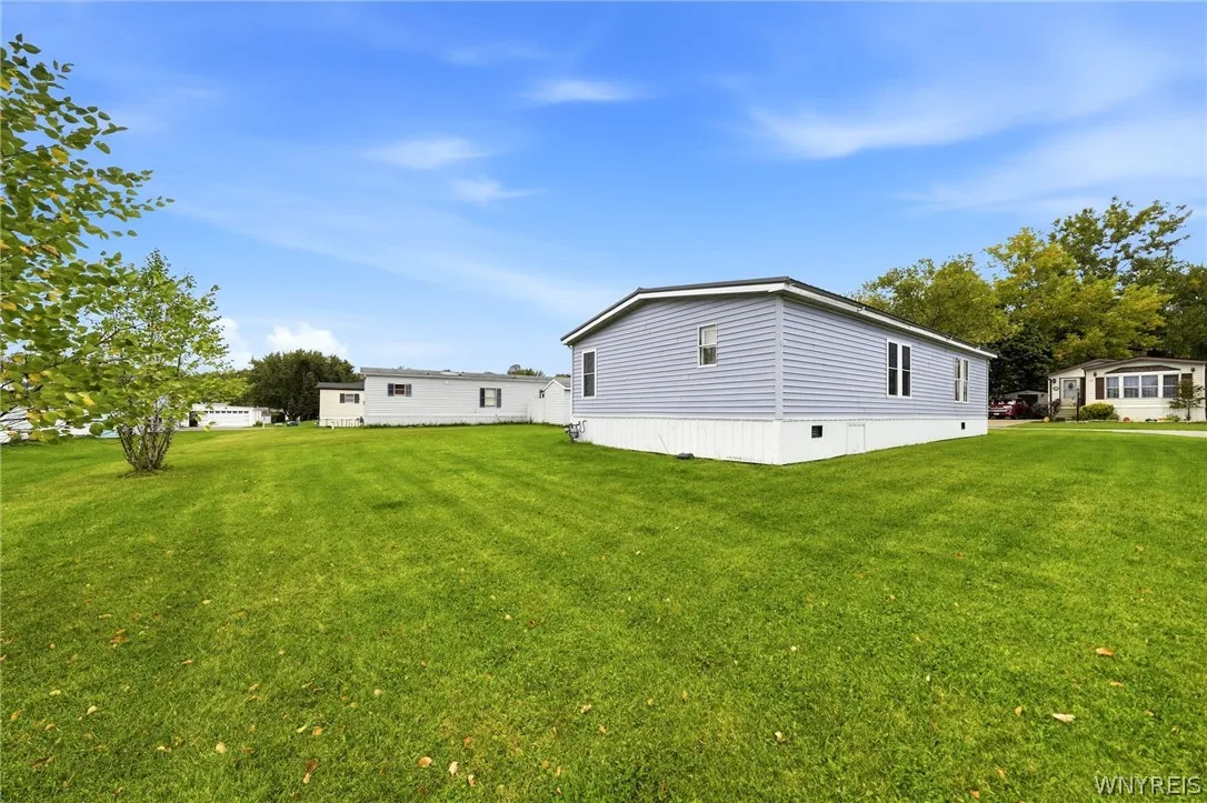 Spacious yard