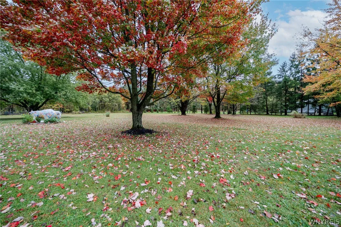 2645 Pleasant Avenue, Hamburg, New York 14085, Hamburg, New York 14085, 3 Bedroom Bedrooms, 8 Room Rooms,2 BathroomBathrooms,Residential,For Sale,2645 Pleasant Avenue, Hamburg, New York 14085,0,B1720490