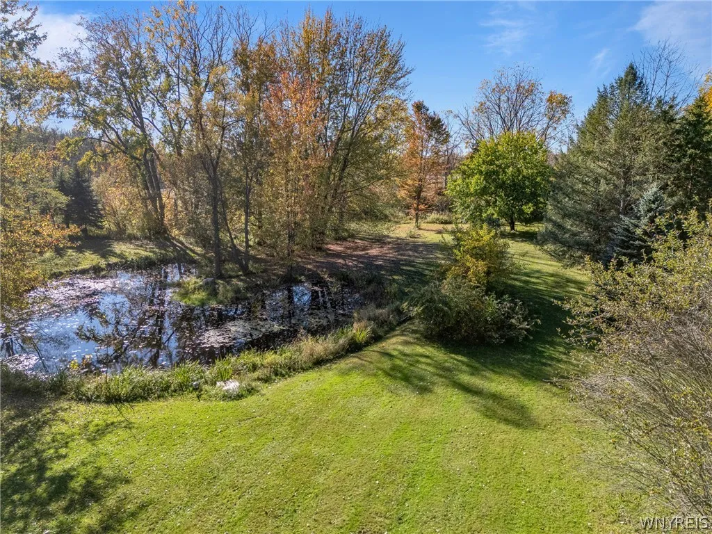 Pond