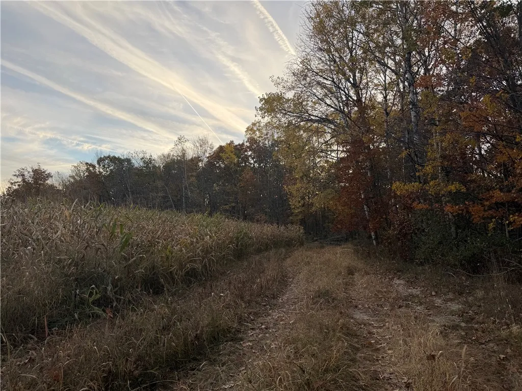 Andrews Hill, Barrington, New York 14837, Barrington, New York 14837, ,Land,For Sale,Andrews Hill, Barrington, New York 14837,0,R1724526