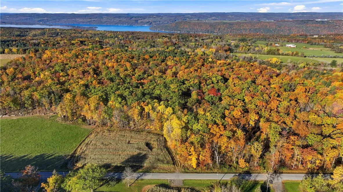 Andrews Hill, Barrington, New York 14837, Barrington, New York 14837, ,Land,For Sale,Andrews Hill, Barrington, New York 14837,0,R1724526