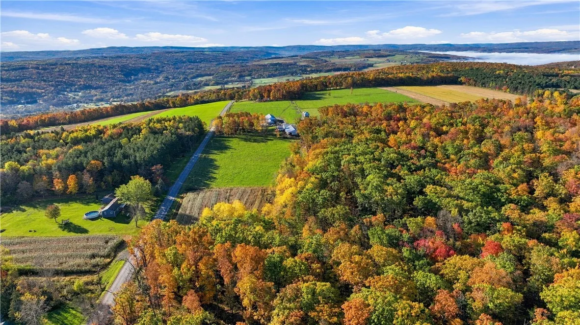 Andrews Hill, Barrington, New York 14837, Barrington, New York 14837, ,Land,For Sale,Andrews Hill, Barrington, New York 14837,0,R1724526