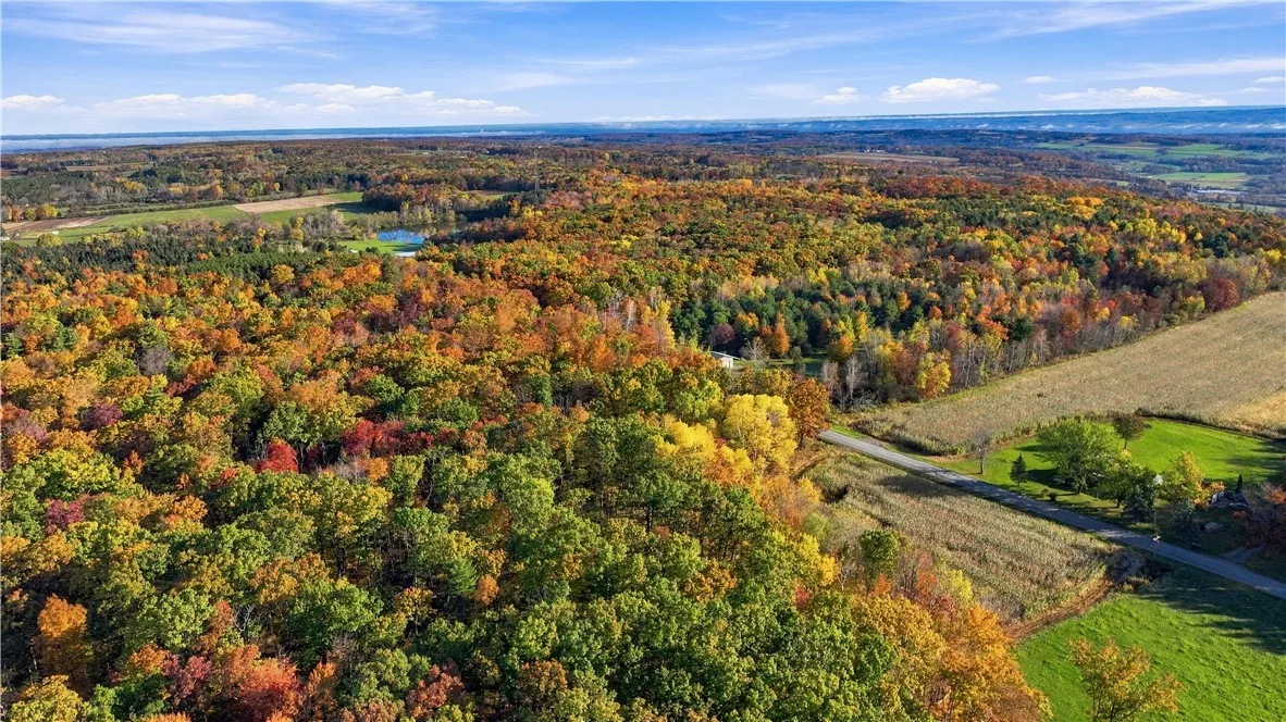 Andrews Hill, Barrington, New York 14837, Barrington, New York 14837, ,Land,For Sale,Andrews Hill, Barrington, New York 14837,0,R1724526