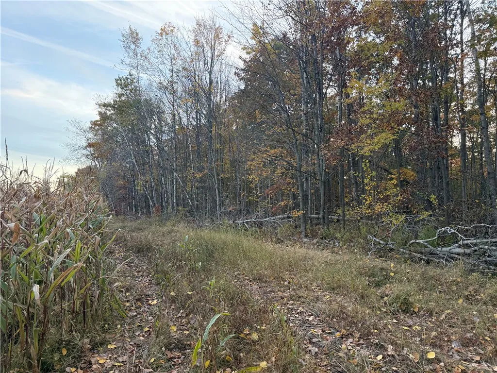 Andrews Hill, Barrington, New York 14837, Barrington, New York 14837, ,Land,For Sale,Andrews Hill, Barrington, New York 14837,0,R1724526