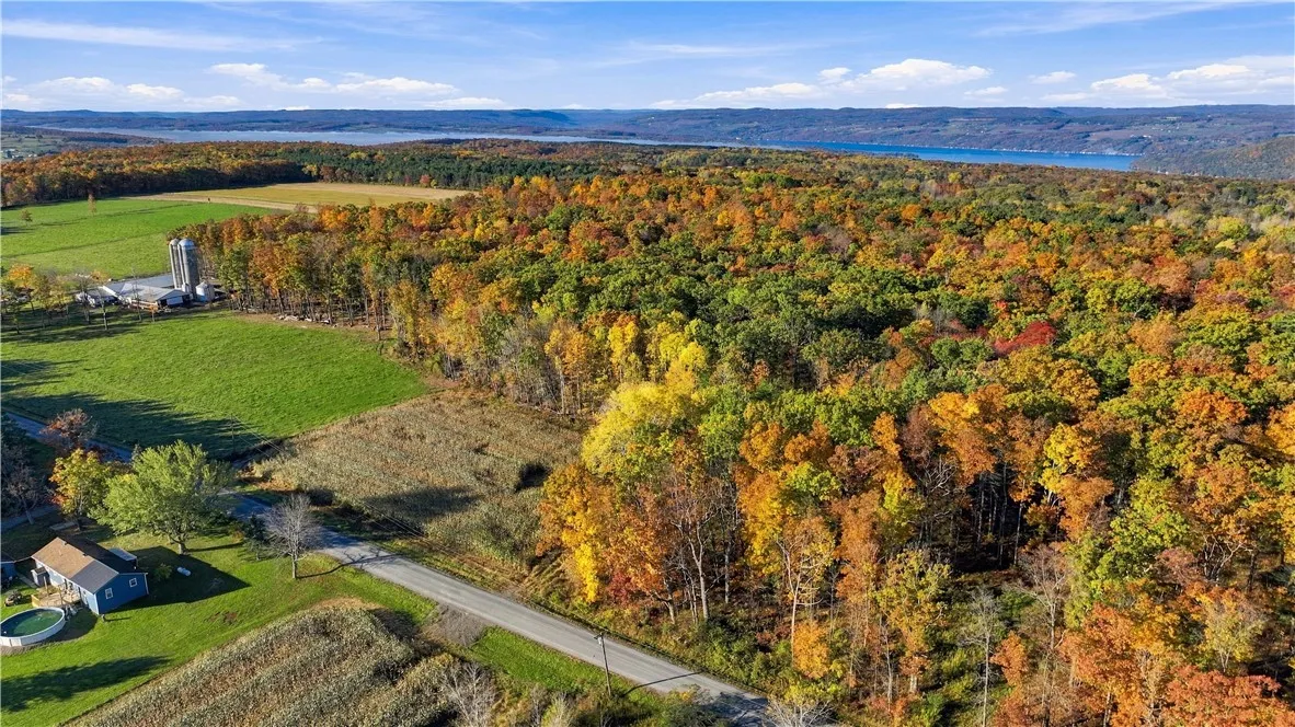 Andrews Hill, Barrington, New York 14837, Barrington, New York 14837, ,Land,For Sale,Andrews Hill, Barrington, New York 14837,0,R1724526