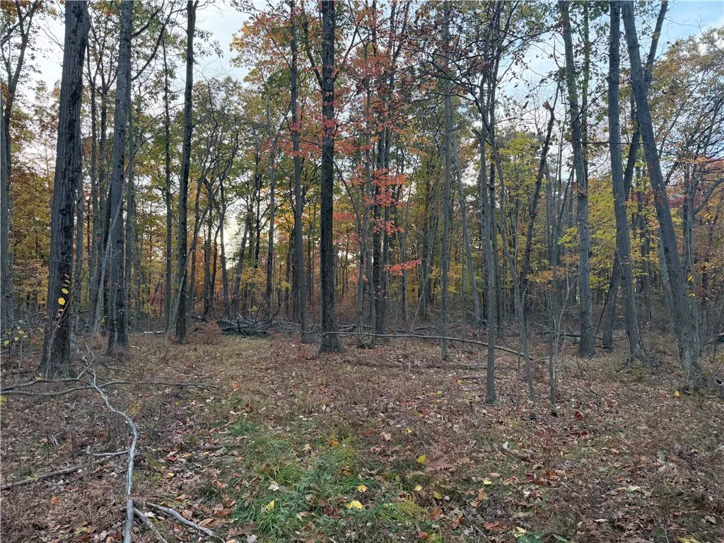 Andrews Hill, Barrington, New York 14837, Barrington, New York 14837, ,Land,For Sale,Andrews Hill, Barrington, New York 14837,0,R1724526