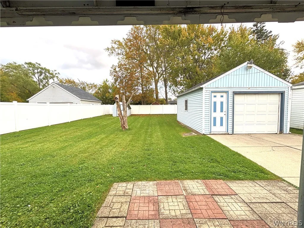 Back yard