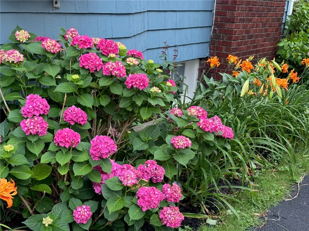 774 Grand Ave, Rochester, New York 14609, Rochester, New York 14609, 3 Bedroom Bedrooms, 7 Room Rooms,1 BathroomBathrooms,Residential,For Sale,774 Grand Ave, Rochester, New York 14609,0,R1724357