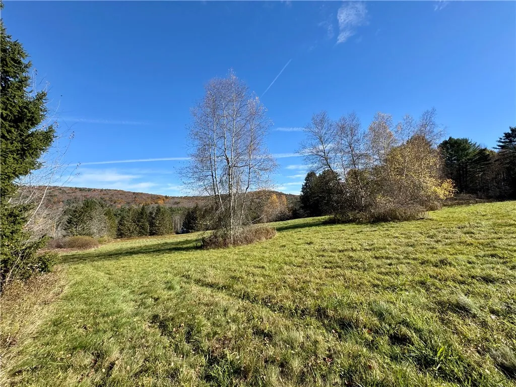 Wilber Lake Road, Oneonta, New York 13820, Oneonta, New York 13820, ,Land,For Sale,Wilber Lake Road, Oneonta, New York 13820,0,R1724576