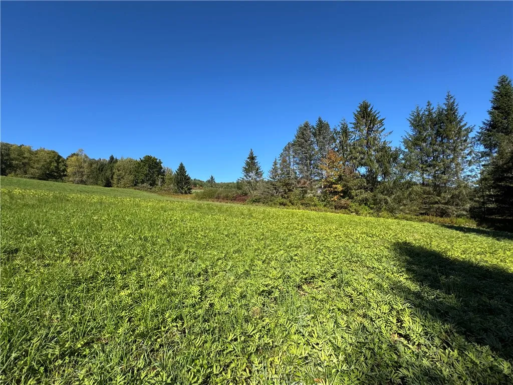 Wilber Lake Road, Oneonta, New York 13820, Oneonta, New York 13820, ,Land,For Sale,Wilber Lake Road, Oneonta, New York 13820,0,R1724576