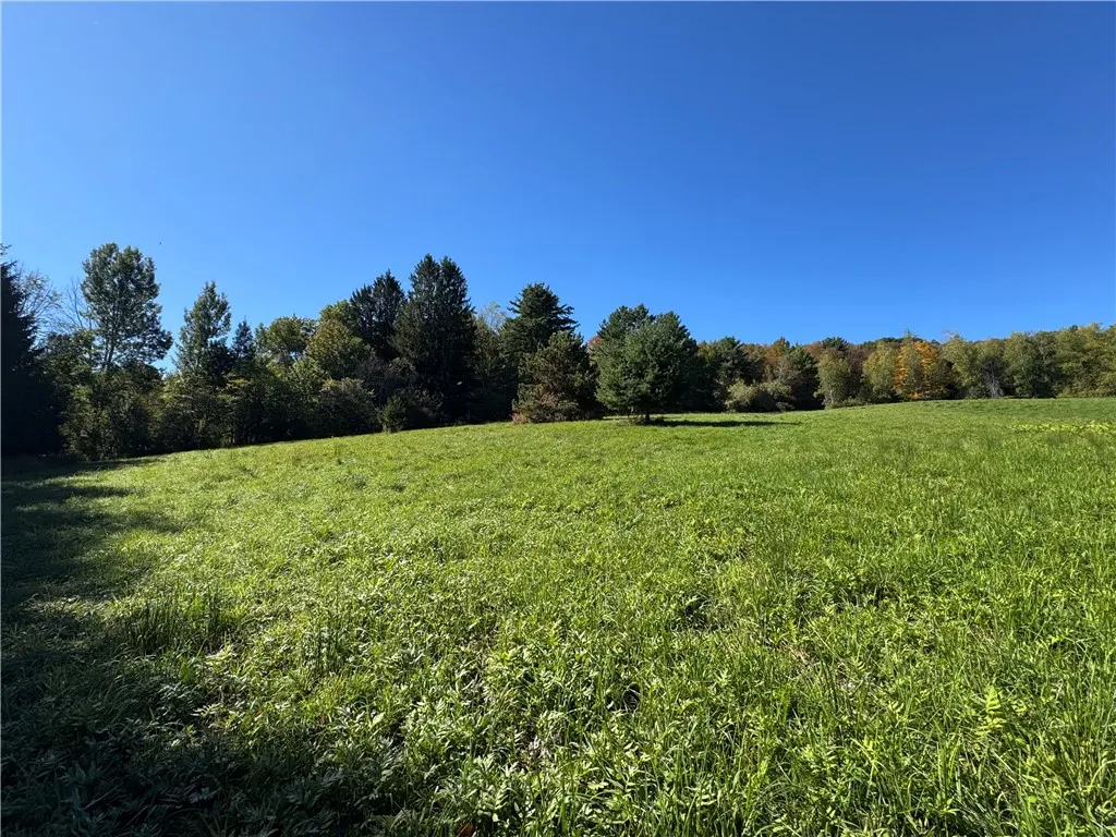 Wilber Lake Road, Oneonta, New York 13820, Oneonta, New York 13820, ,Land,For Sale,Wilber Lake Road, Oneonta, New York 13820,0,R1724576