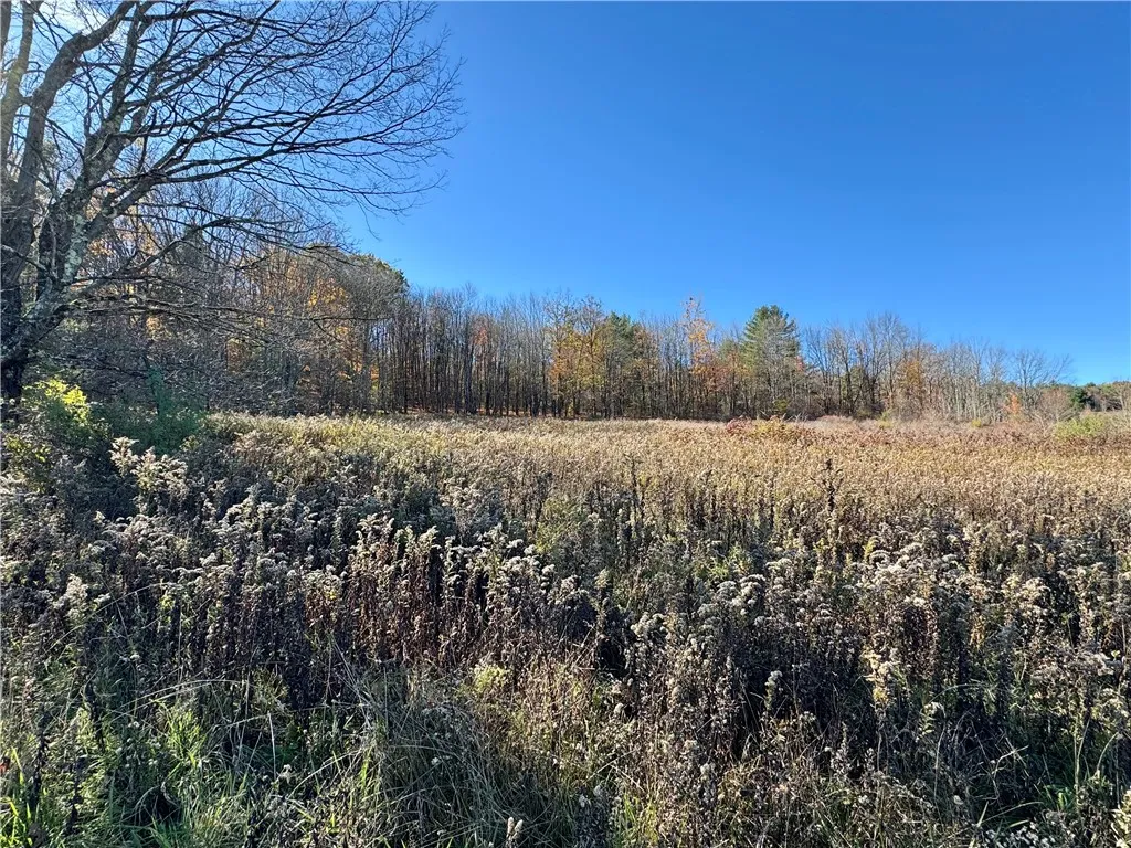 Wilber Lake Road, Oneonta, New York 13820, Oneonta, New York 13820, ,Land,For Sale,Wilber Lake Road, Oneonta, New York 13820,0,R1724576