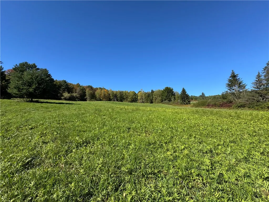 Wilber Lake Road, Oneonta, New York 13820, Oneonta, New York 13820, ,Land,For Sale,Wilber Lake Road, Oneonta, New York 13820,0,R1724576