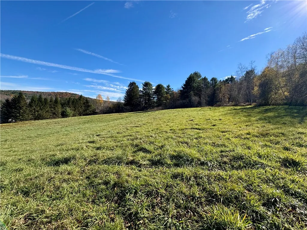 Wilber Lake Road, Oneonta, New York 13820, Oneonta, New York 13820, ,Land,For Sale,Wilber Lake Road, Oneonta, New York 13820,0,R1724576