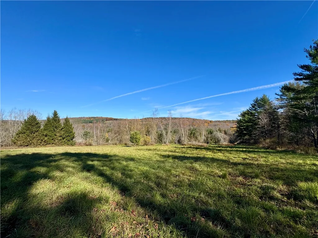 Wilber Lake Road, Oneonta, New York 13820, Oneonta, New York 13820, ,Land,For Sale,Wilber Lake Road, Oneonta, New York 13820,0,R1724576