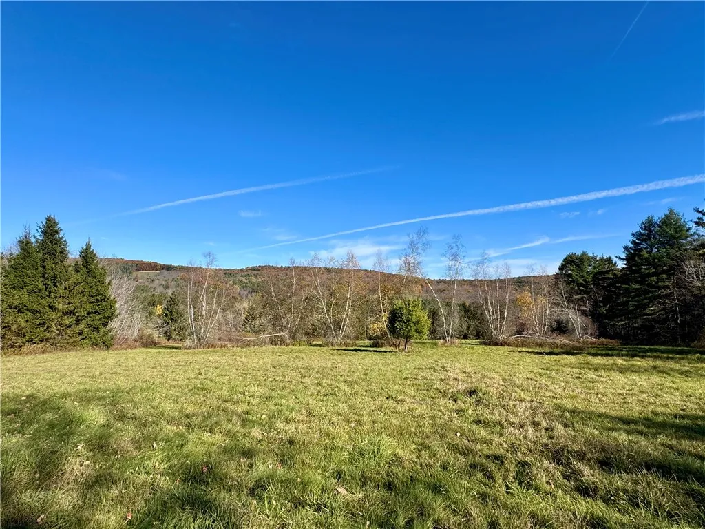 Wilber Lake Road, Oneonta, New York 13820, Oneonta, New York 13820, ,Land,For Sale,Wilber Lake Road, Oneonta, New York 13820,0,R1724576