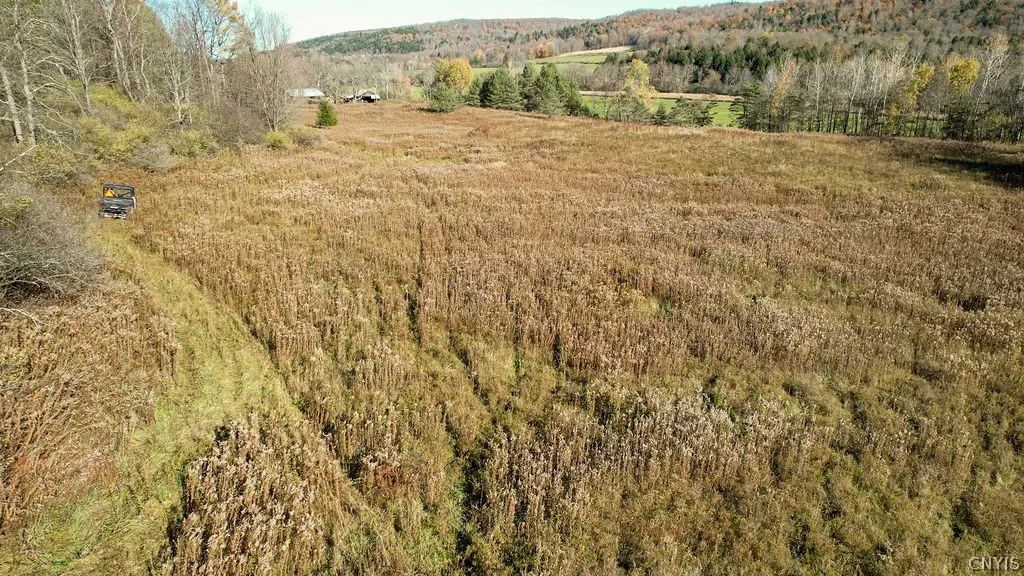 7779 South Hamilton Road, Hamilton, New York 13332, Hamilton, New York 13332, 4 Bedroom Bedrooms, 10 Room Rooms,2 BathroomBathrooms,Residential,For Sale,7779 South Hamilton Road, Hamilton, New York 13332,0,S1724668