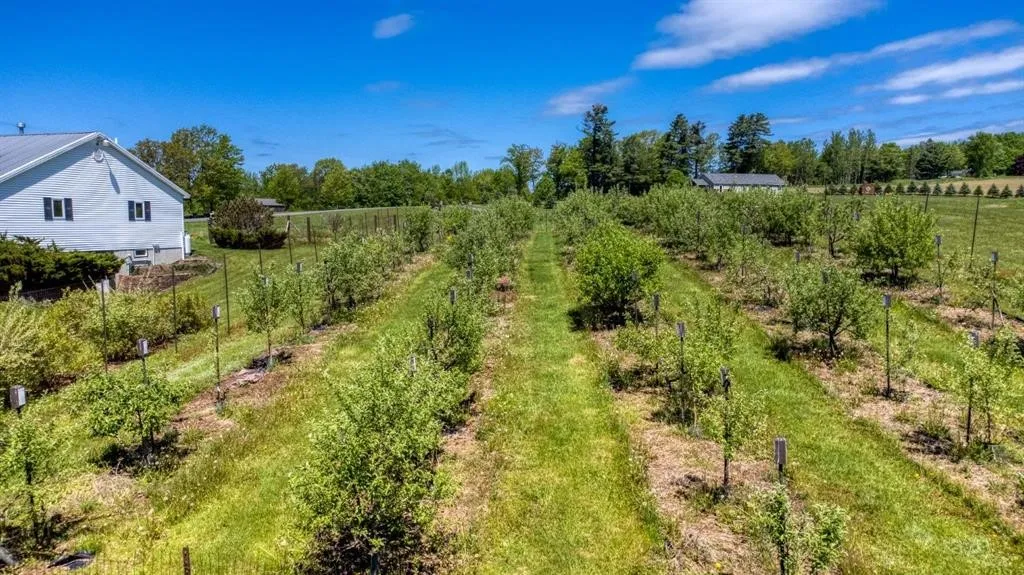 238 West Hill Road, Worcester, New York 12197, Worcester, New York 12197, 4 Bedroom Bedrooms, 11 Room Rooms,3 BathroomBathrooms,Residential,For Sale,238 West Hill Road, Worcester, New York 12197,0,R1724820