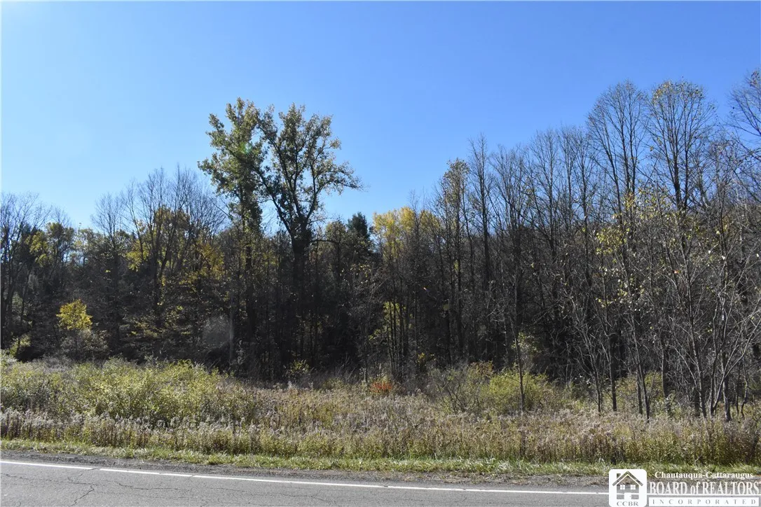 11088 Springville Boston Road, Concord, New York 1, Concord, New York 14055, ,Land,For Sale,11088 Springville Boston Road, Concord, New York 1,0,R1724891