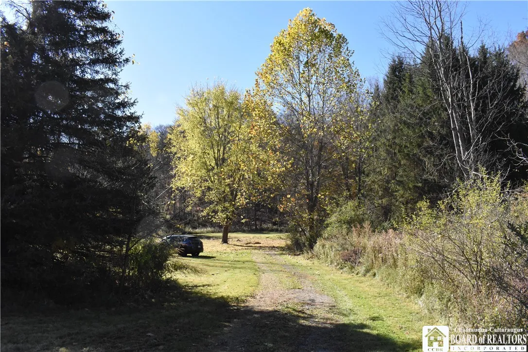 11088 Springville Boston Road, Concord, New York 1, Concord, New York 14055, ,Land,For Sale,11088 Springville Boston Road, Concord, New York 1,0,R1724891