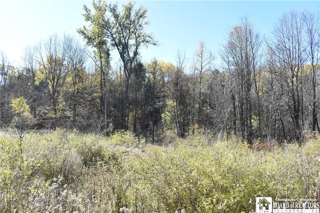 11088 Springville Boston Road, Concord, New York 1, Concord, New York 14055, ,Land,For Sale,11088 Springville Boston Road, Concord, New York 1,0,R1724891