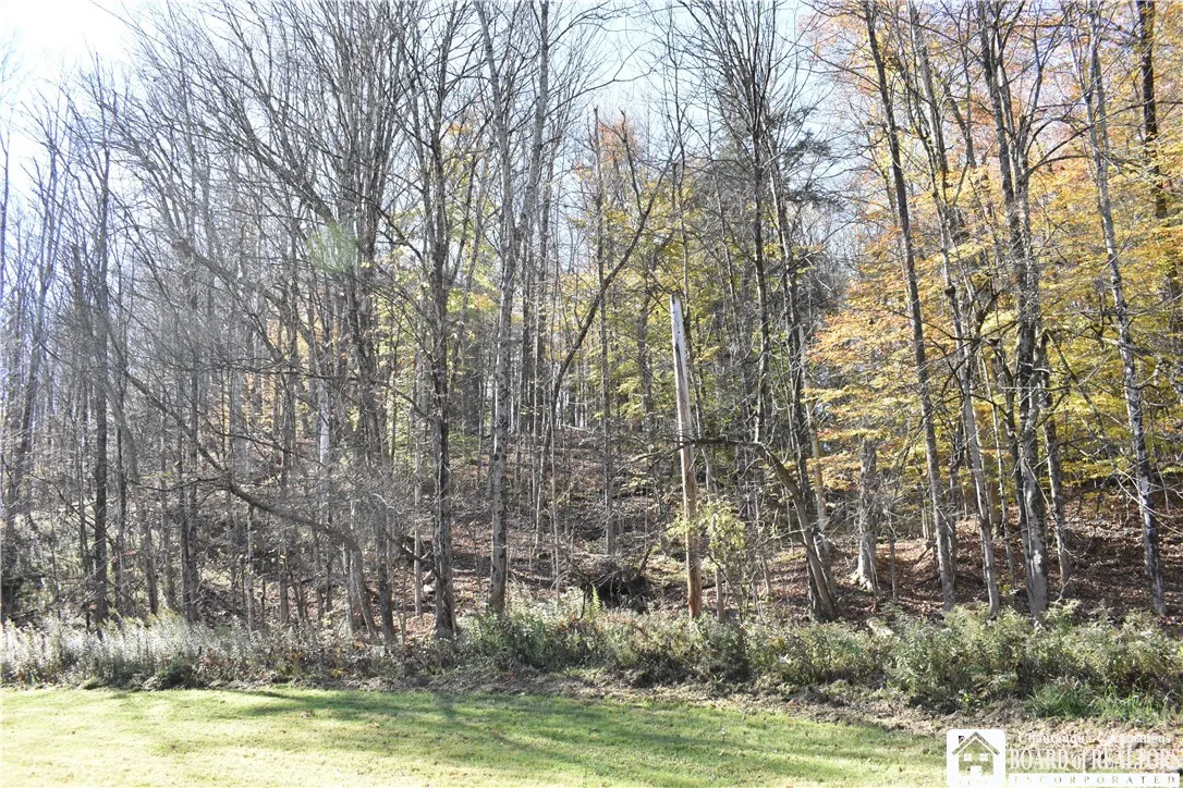 11088 Springville Boston Road, Concord, New York 1, Concord, New York 14055, ,Land,For Sale,11088 Springville Boston Road, Concord, New York 1,0,R1724891
