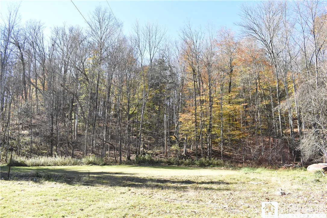 11088 Springville Boston Road, Concord, New York 1, Concord, New York 14055, ,Land,For Sale,11088 Springville Boston Road, Concord, New York 1,0,R1724891