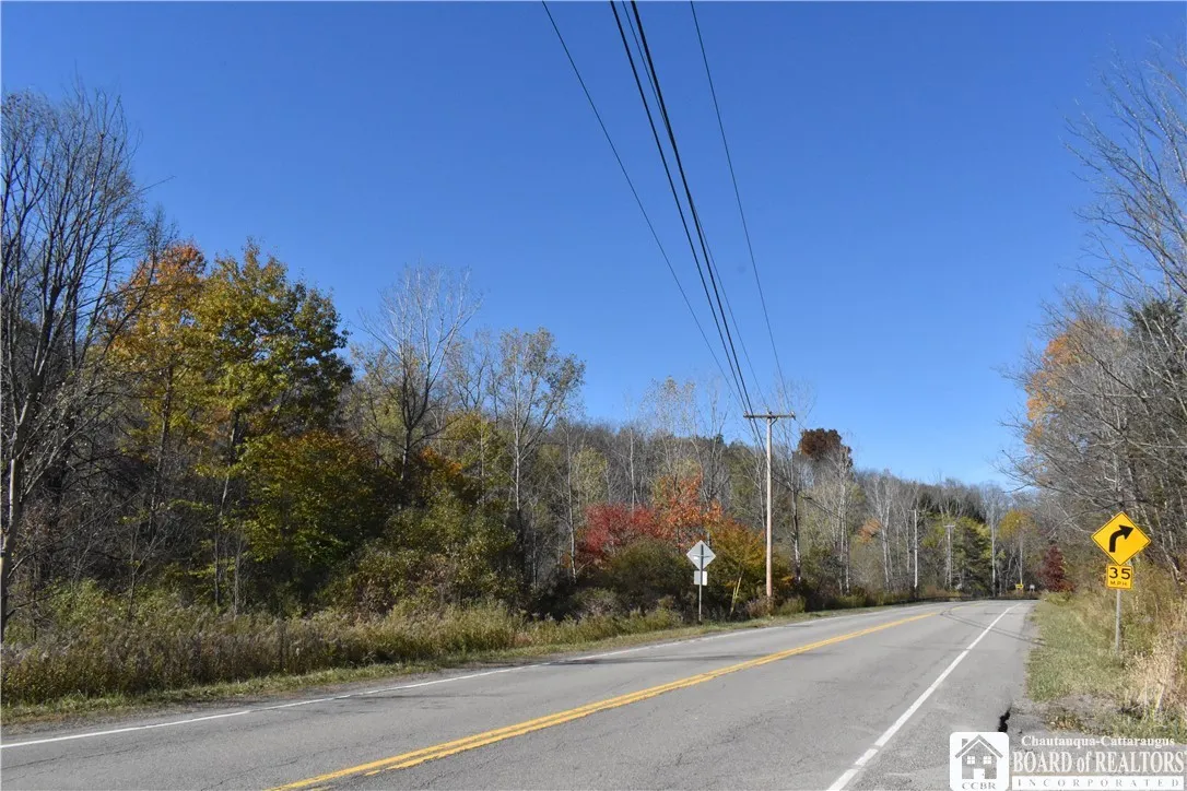 11088 Springville Boston Road, Concord, New York 1, Concord, New York 14055, ,Land,For Sale,11088 Springville Boston Road, Concord, New York 1,0,R1724891