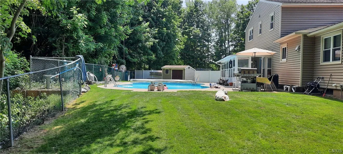 Inground pool and yard