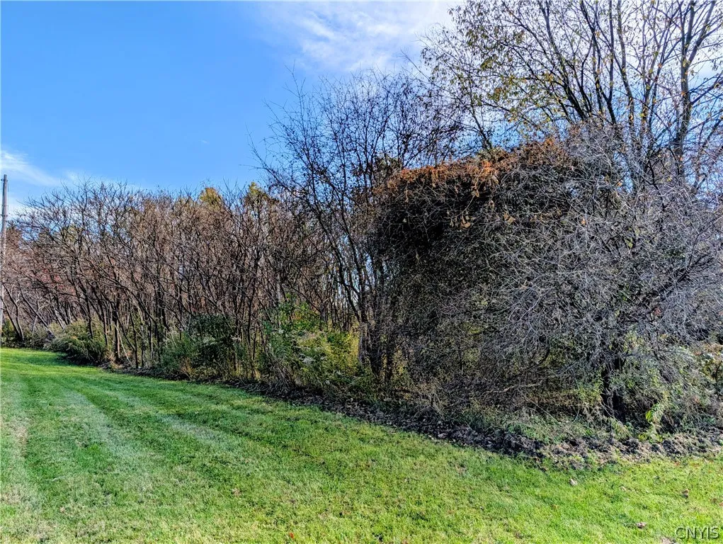 768 State Route 222, Cortlandville, New York 13045, Cortlandville, New York 13045, 3 Bedroom Bedrooms, 8 Room Rooms,2 BathroomBathrooms,Residential,For Sale,768 State Route 222, Cortlandville, New York 13045,0,S1723033