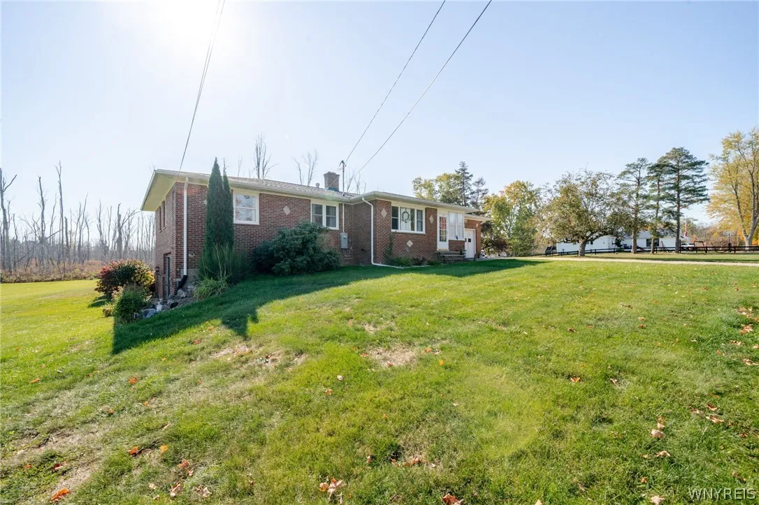 Front and side yard