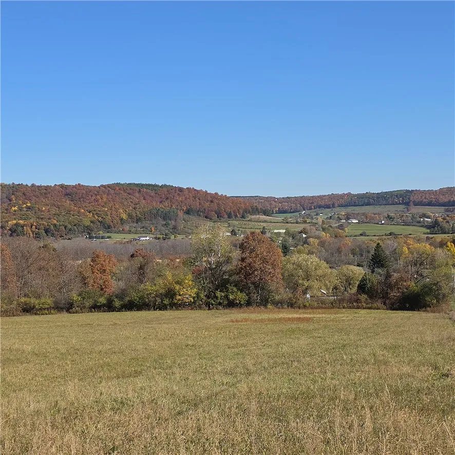 Valley View