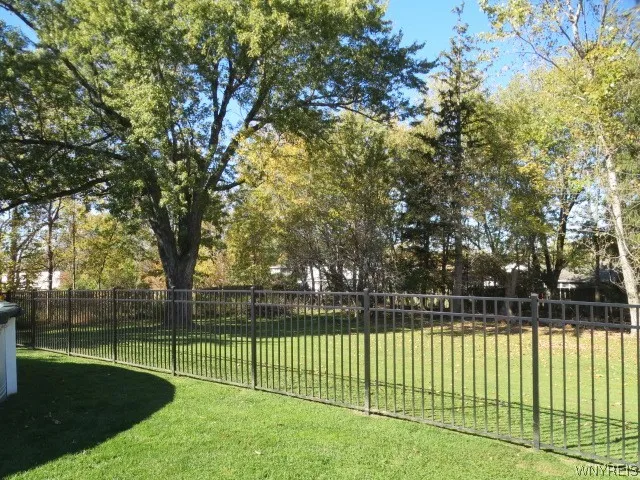 Trees all around for privacy!