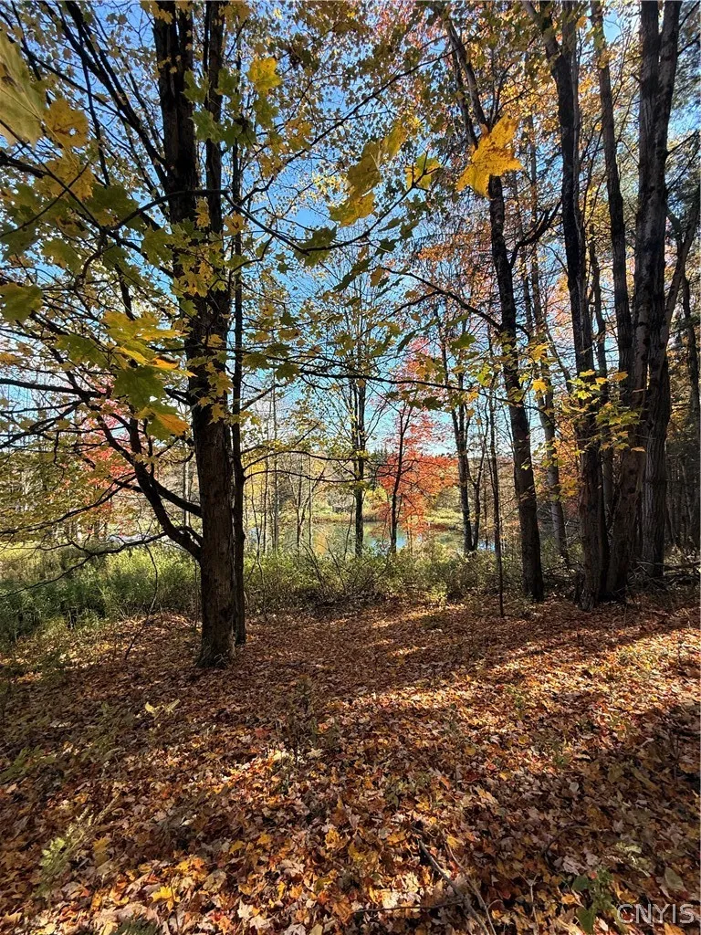 7465 Chappel Road, Hamilton, New York 13346, Hamilton, New York 13346, 4 Bedroom Bedrooms, 9 Room Rooms,2 BathroomBathrooms,Residential,For Sale,7465 Chappel Road, Hamilton, New York 13346,0,S1724912