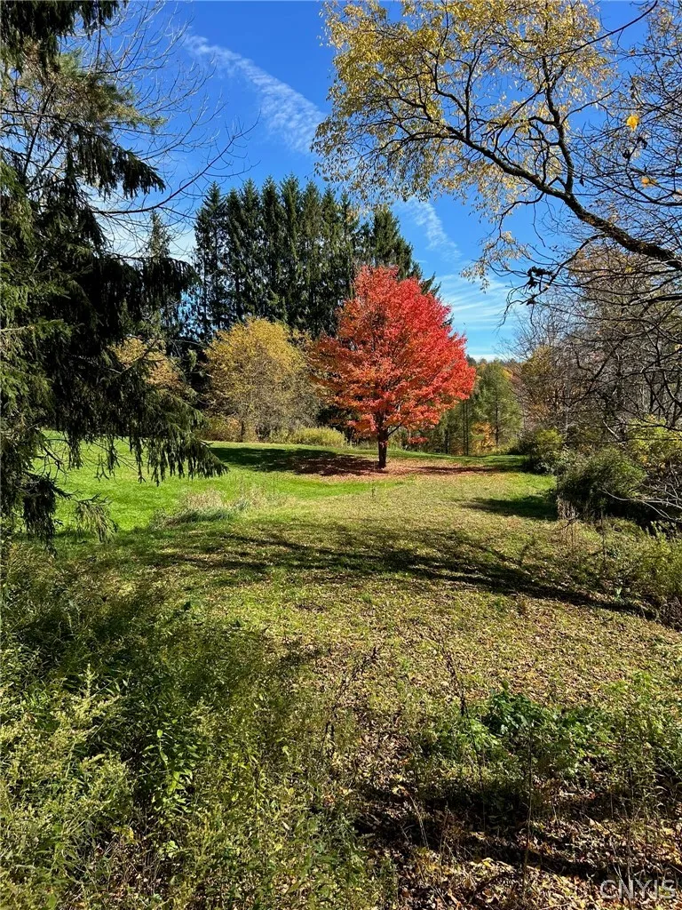 7465 Chappel Road, Hamilton, New York 13346, Hamilton, New York 13346, 4 Bedroom Bedrooms, 9 Room Rooms,2 BathroomBathrooms,Residential,For Sale,7465 Chappel Road, Hamilton, New York 13346,0,S1724912