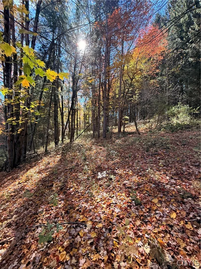 7465 Chappel Road, Hamilton, New York 13346, Hamilton, New York 13346, 4 Bedroom Bedrooms, 9 Room Rooms,2 BathroomBathrooms,Residential,For Sale,7465 Chappel Road, Hamilton, New York 13346,0,S1724912