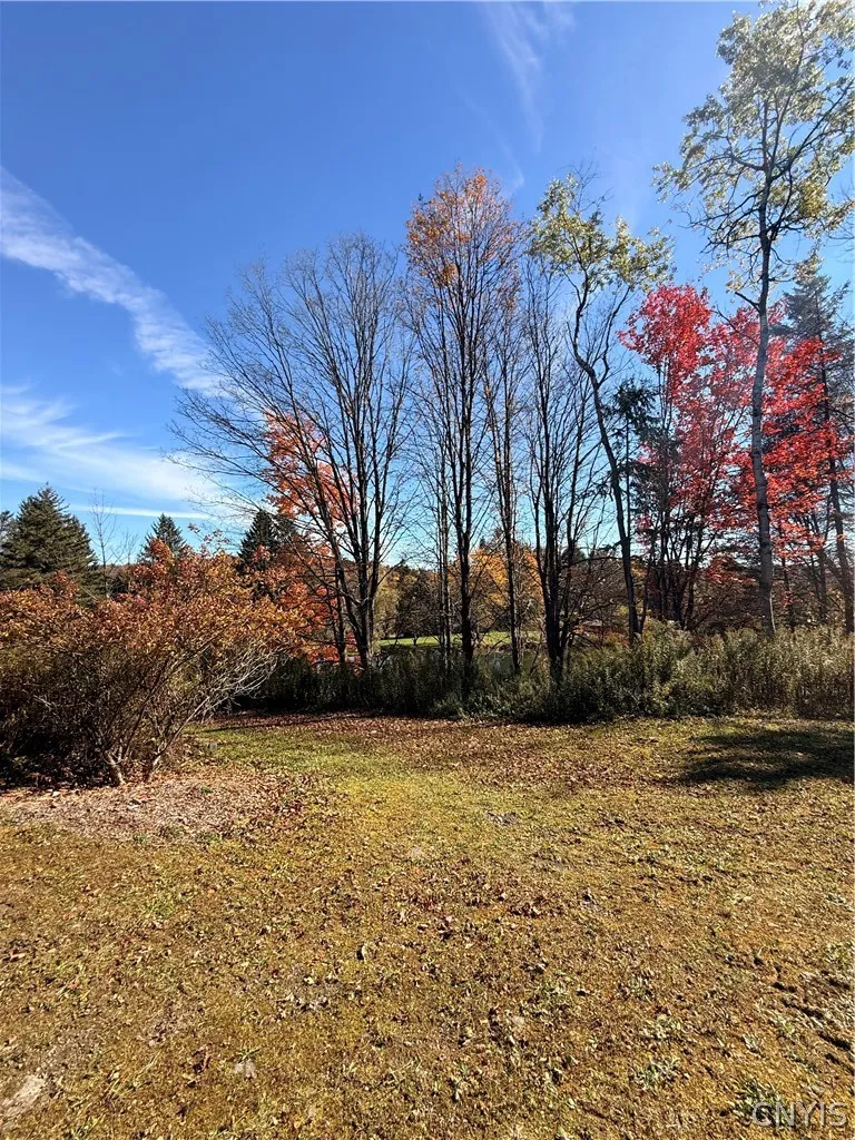 7465 Chappel Road, Hamilton, New York 13346, Hamilton, New York 13346, 4 Bedroom Bedrooms, 9 Room Rooms,2 BathroomBathrooms,Residential,For Sale,7465 Chappel Road, Hamilton, New York 13346,0,S1724912