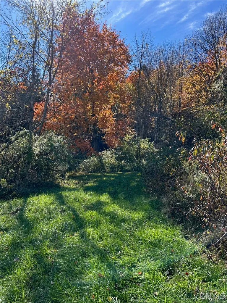 7465 Chappel Road, Hamilton, New York 13346, Hamilton, New York 13346, 4 Bedroom Bedrooms, 9 Room Rooms,2 BathroomBathrooms,Residential,For Sale,7465 Chappel Road, Hamilton, New York 13346,0,S1724912