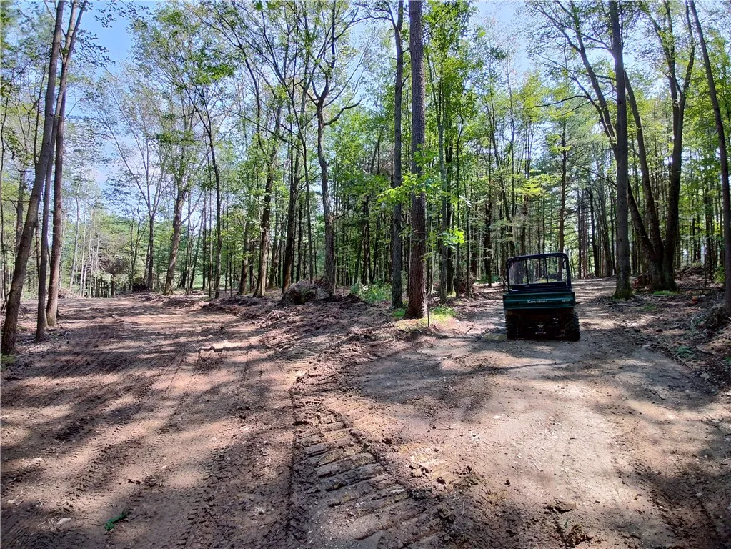 Greyton H Taylor Memorial Drive North, Urbana, New, Urbana, New York 14840, ,Land,For Sale,Greyton H Taylor Memorial Drive North, Urbana, New,0,R1725157