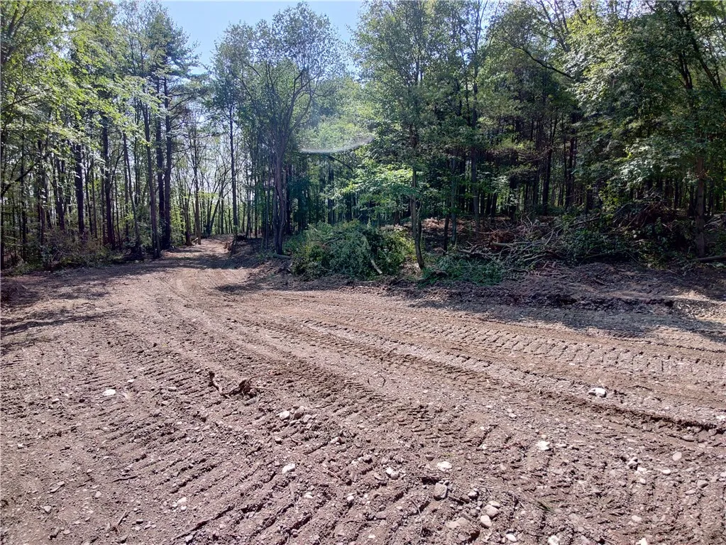 Greyton H Taylor Memorial Drive North, Urbana, New, Urbana, New York 14840, ,Land,For Sale,Greyton H Taylor Memorial Drive North, Urbana, New,0,R1725157