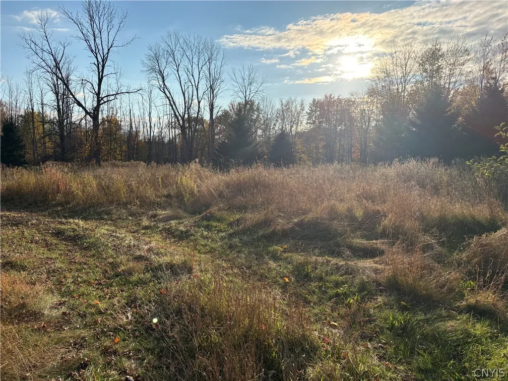 291 Goodfellow Road, Palermo, New York 13069, Palermo, New York 13069, 3 Bedroom Bedrooms, 5 Room Rooms,2 BathroomBathrooms,Residential,For Sale,291 Goodfellow Road, Palermo, New York 13069,0,S1725135