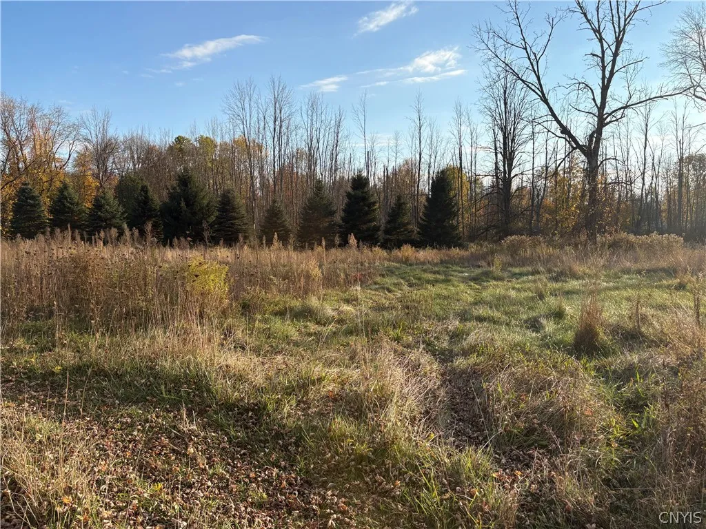 291 Goodfellow Road, Palermo, New York 13069, Palermo, New York 13069, 3 Bedroom Bedrooms, 5 Room Rooms,2 BathroomBathrooms,Residential,For Sale,291 Goodfellow Road, Palermo, New York 13069,0,S1725135