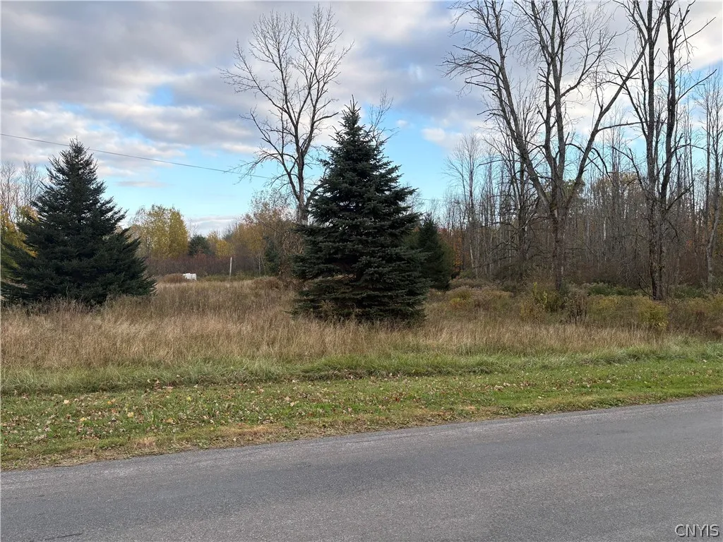 291 Goodfellow Road, Palermo, New York 13069, Palermo, New York 13069, 3 Bedroom Bedrooms, 5 Room Rooms,2 BathroomBathrooms,Residential,For Sale,291 Goodfellow Road, Palermo, New York 13069,0,S1725135