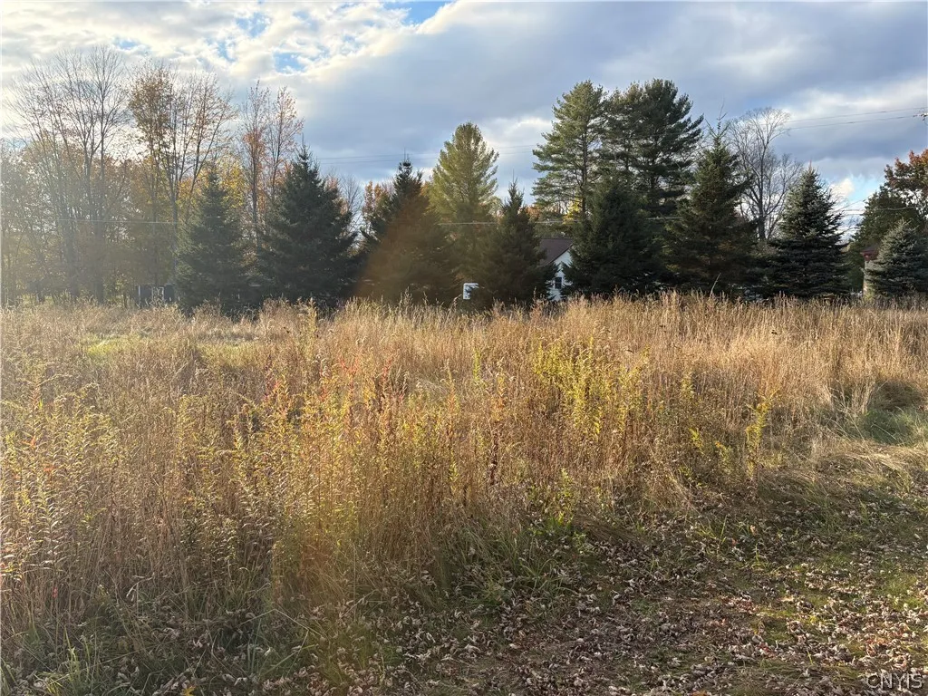 291 Goodfellow Road, Palermo, New York 13069, Palermo, New York 13069, 3 Bedroom Bedrooms, 5 Room Rooms,2 BathroomBathrooms,Residential,For Sale,291 Goodfellow Road, Palermo, New York 13069,0,S1725135