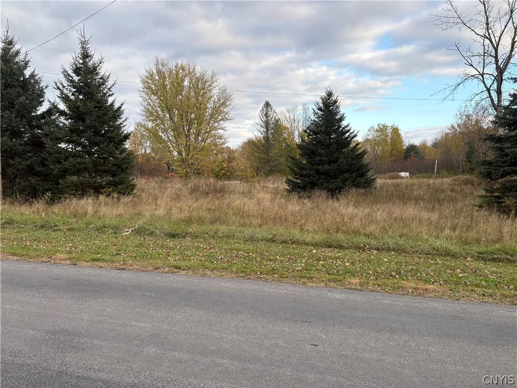 291 Goodfellow Road, Palermo, New York 13069, Palermo, New York 13069, 3 Bedroom Bedrooms, 5 Room Rooms,2 BathroomBathrooms,Residential,For Sale,291 Goodfellow Road, Palermo, New York 13069,0,S1725135