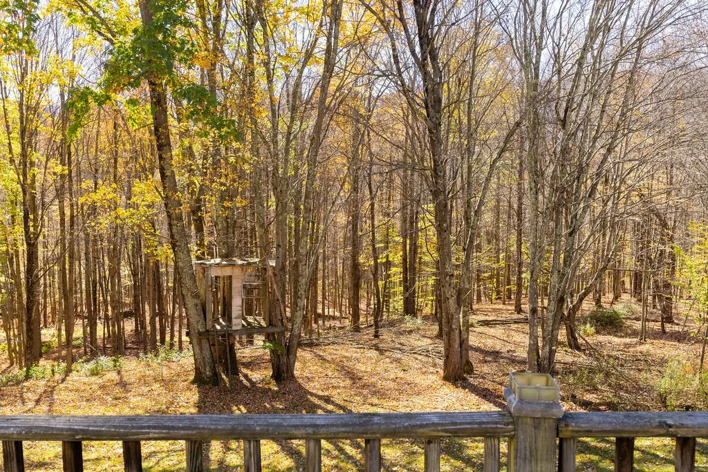 379 Tanzer Lane, Middletown, New York 12455, Middletown, New York 12455, 6 Bedroom Bedrooms, 15 Room Rooms,3 BathroomBathrooms,Residential,For Sale,379 Tanzer Lane, Middletown, New York 12455,0,R1724894