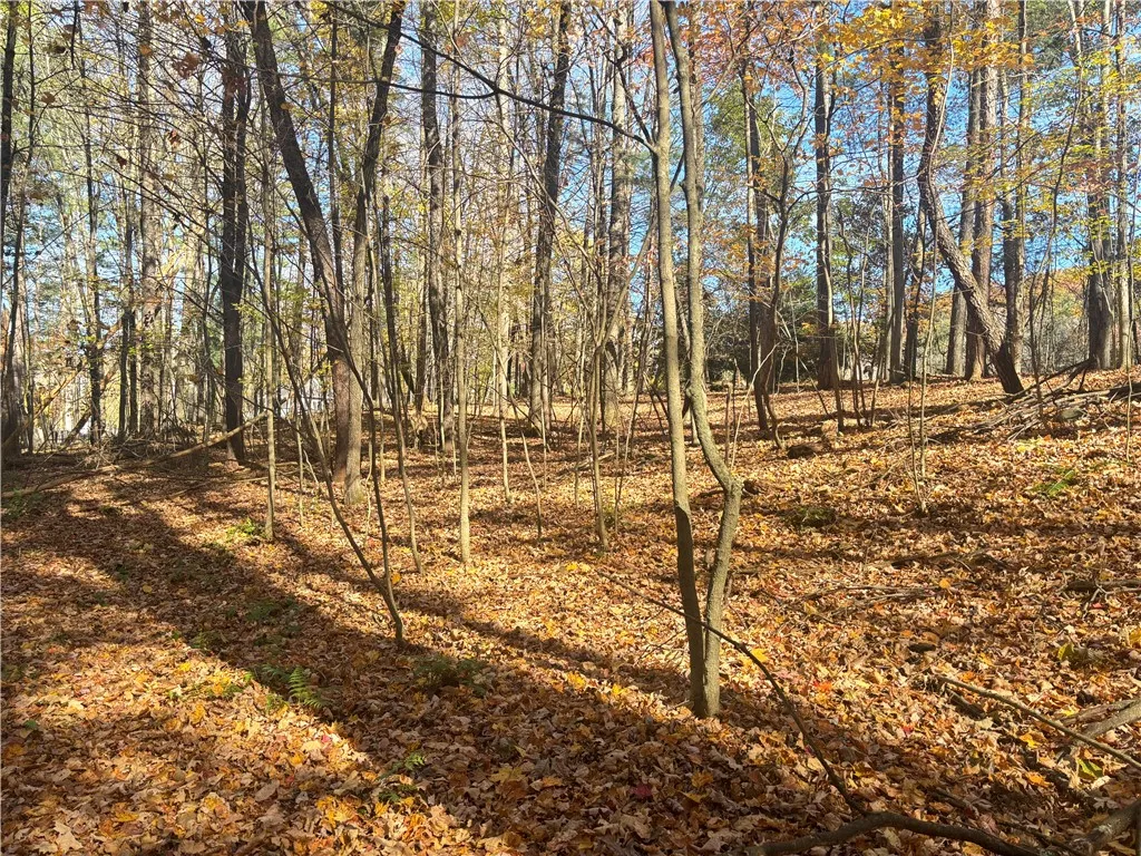 0 Lake Shore Drive South, Milford, New York 12116, Milford, New York 12116, 2 Bedroom Bedrooms, ,Land,For Sale,0 Lake Shore Drive South, Milford, New York 12116,0,R1725048
