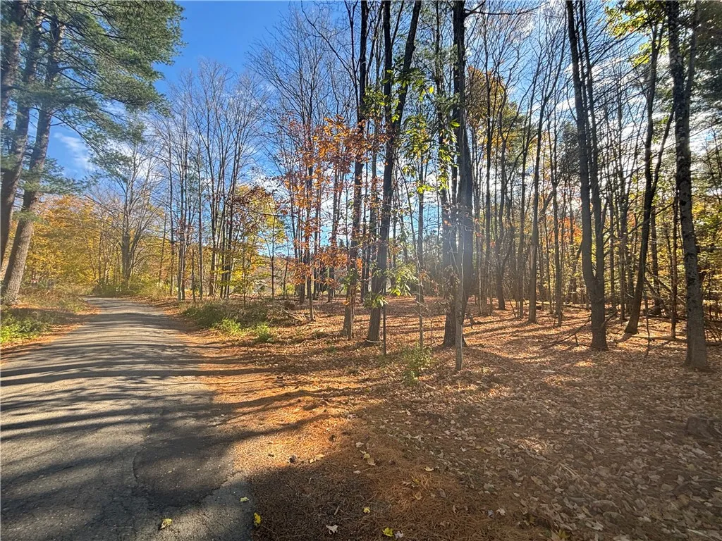 0 Lake Shore Drive South, Milford, New York 12116, Milford, New York 12116, 2 Bedroom Bedrooms, ,Land,For Sale,0 Lake Shore Drive South, Milford, New York 12116,0,R1725048